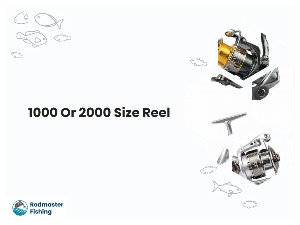 1000 Or 2000 Size Reel