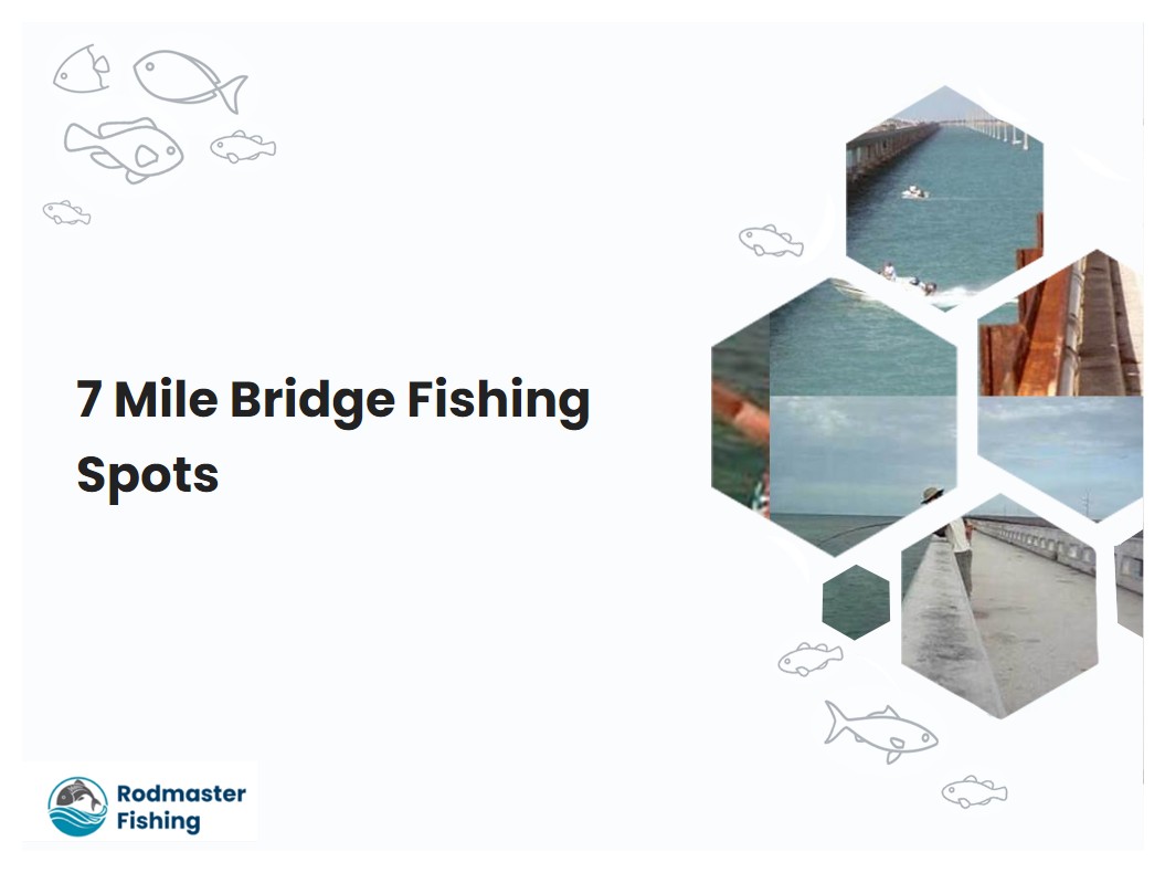 7 Mile Bridge Fishing Spots