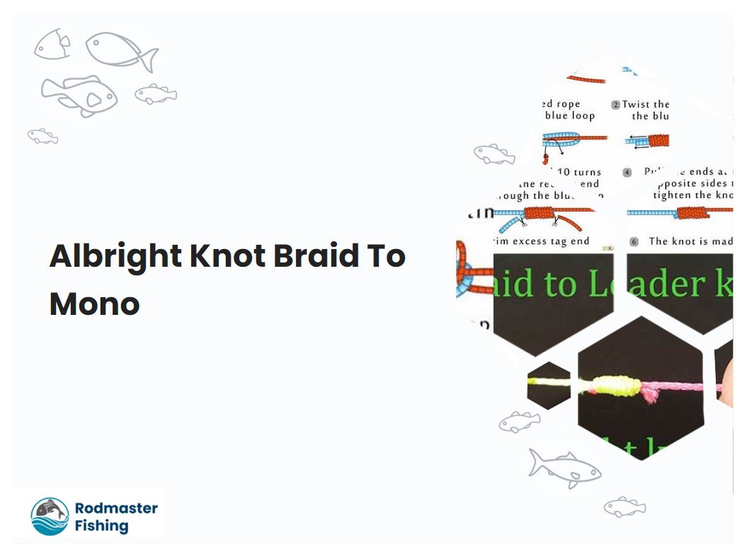 Albright Knot Braid To Mono