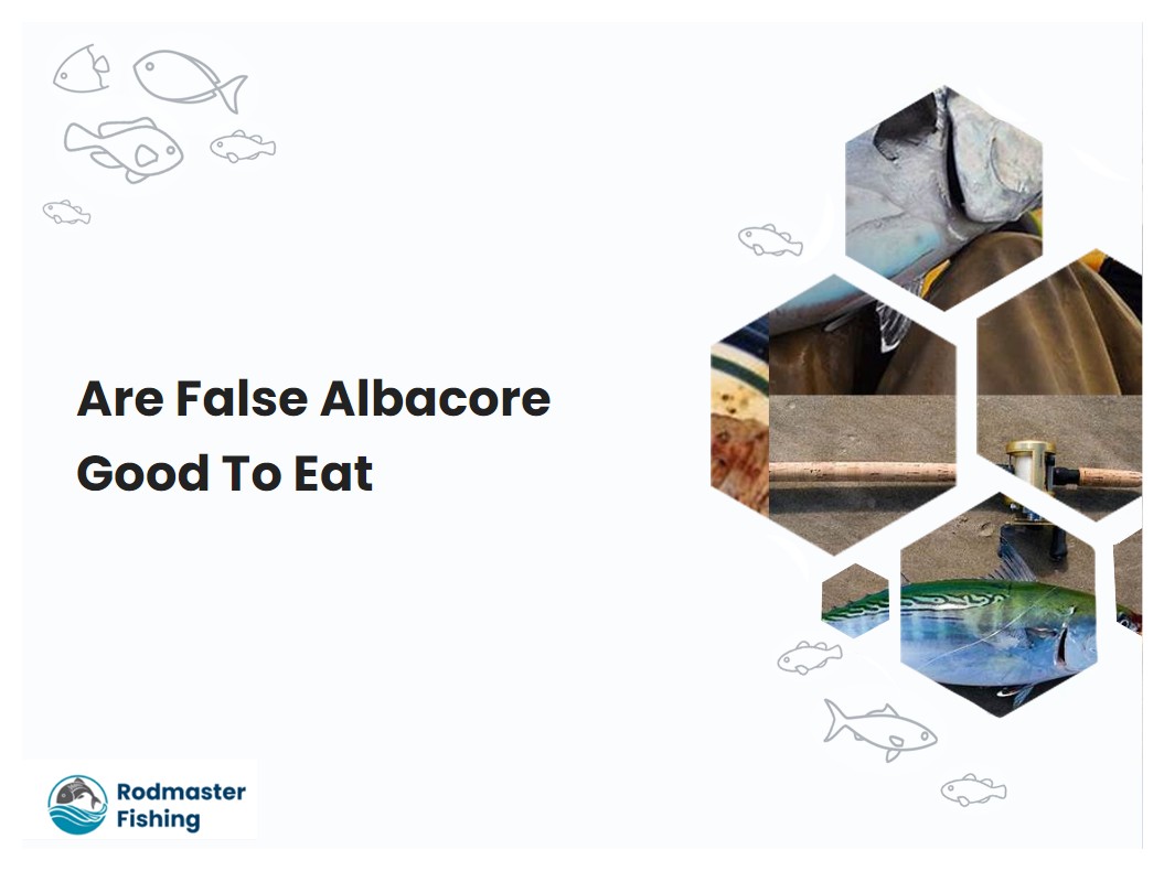 Are False Albacore Good To Eat