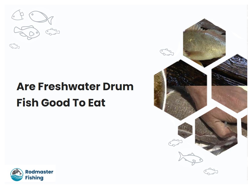 Are Freshwater Drum Fish Good To Eat