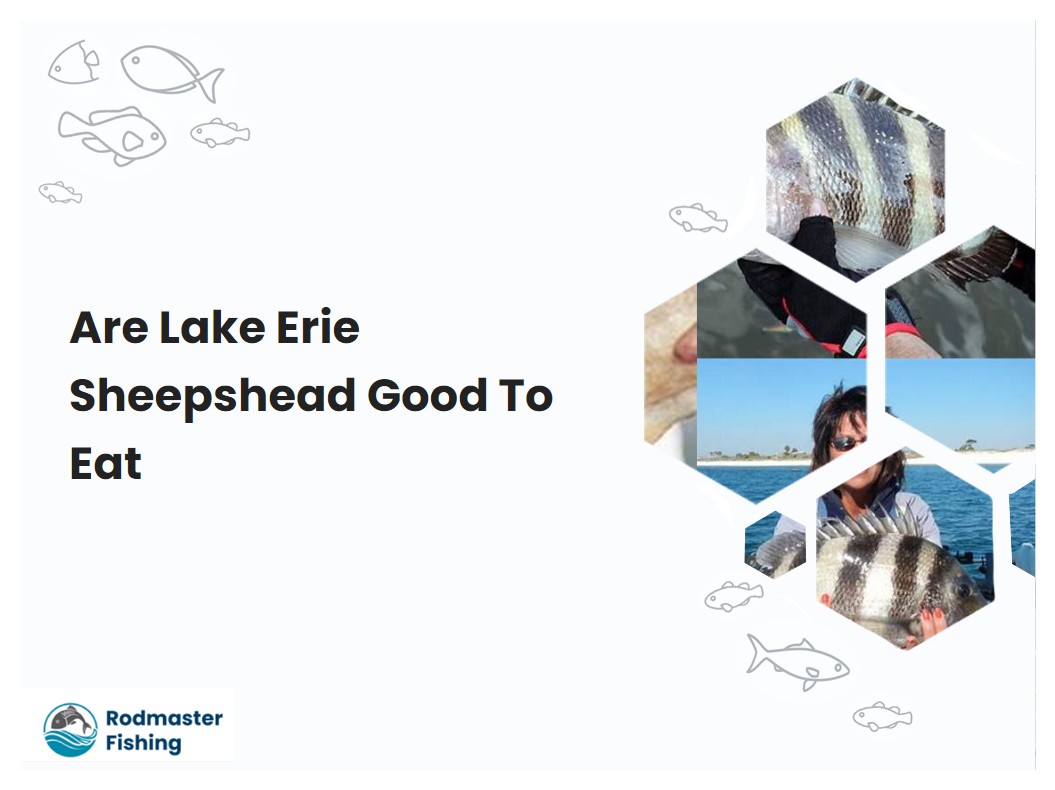 Are Lake Erie Sheepshead Good To Eat