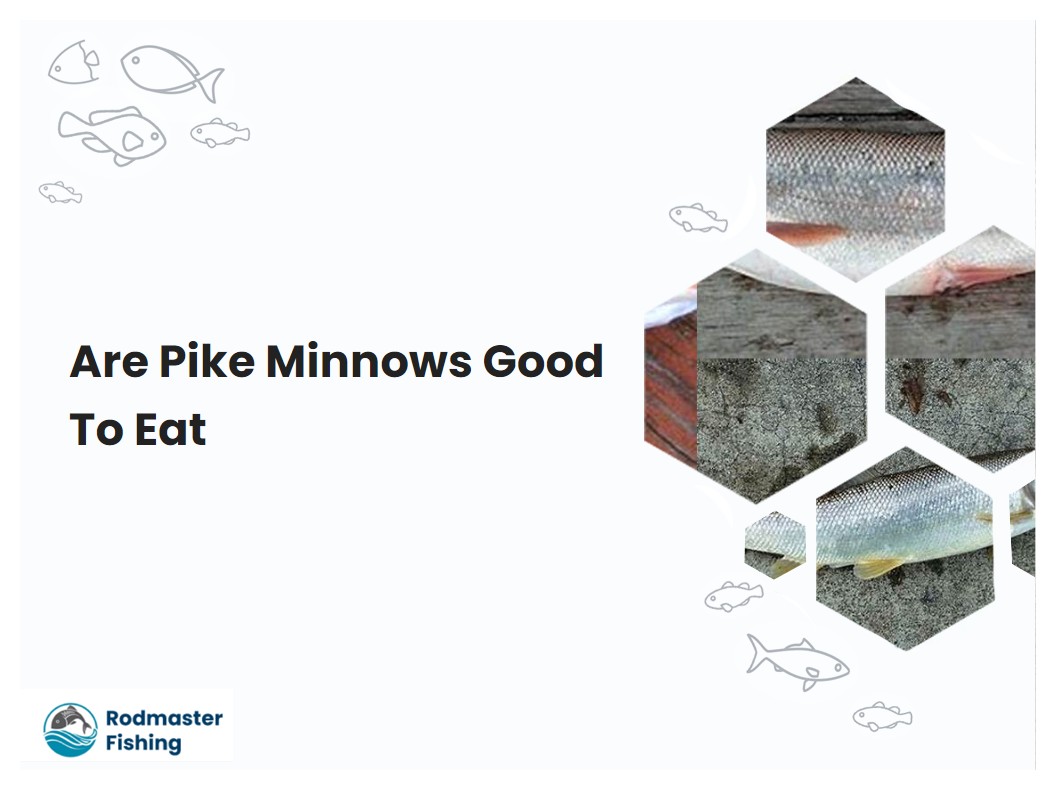 Are Pike Minnows Good To Eat