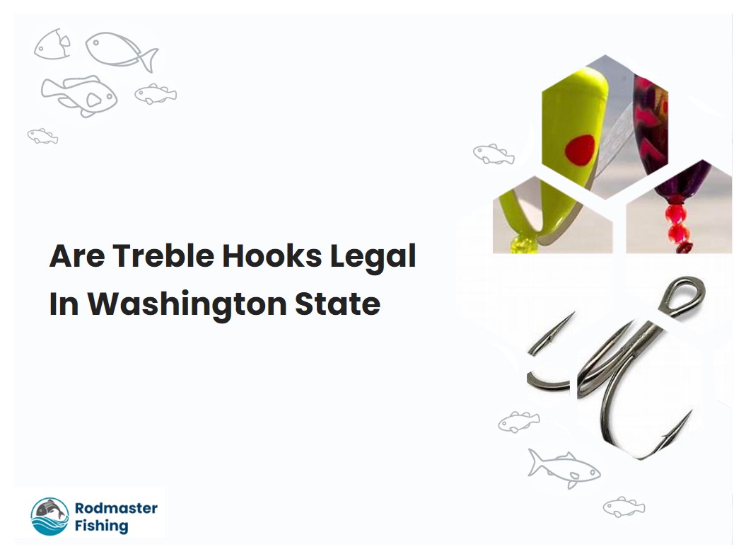 Are Treble Hooks Legal In Washington State