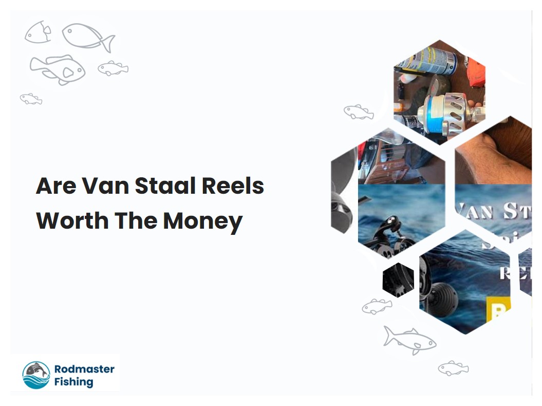 Are Van Staal Reels Worth The Money