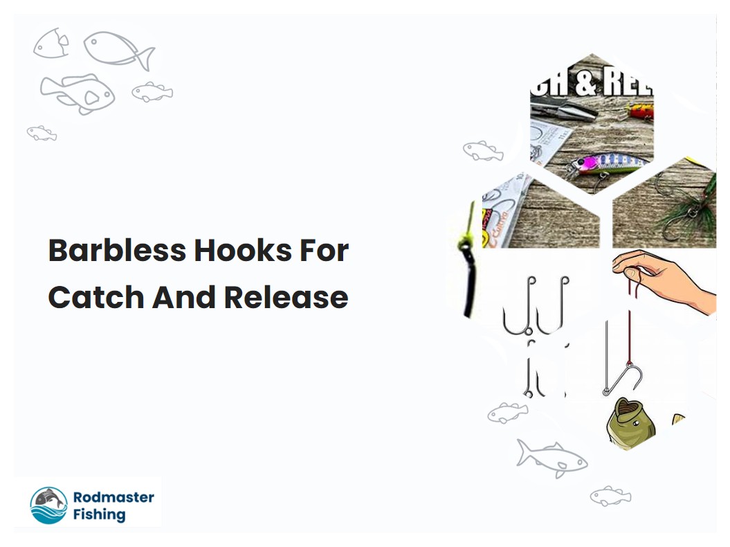 Barbless Hooks For Catch And Release