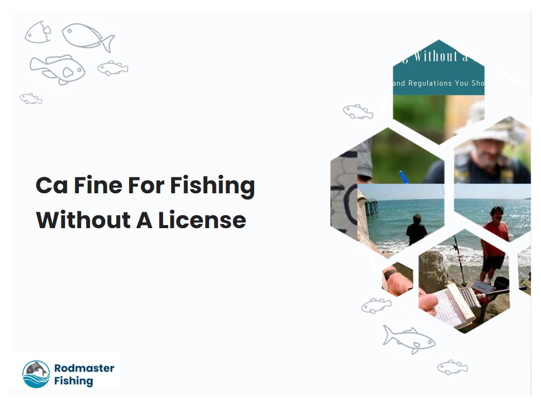 Ca Fine For Fishing Without A License