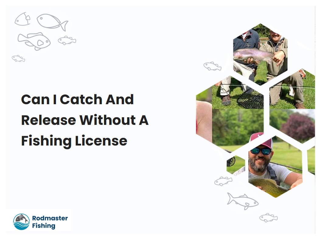 Can I Catch And Release Without A Fishing License
