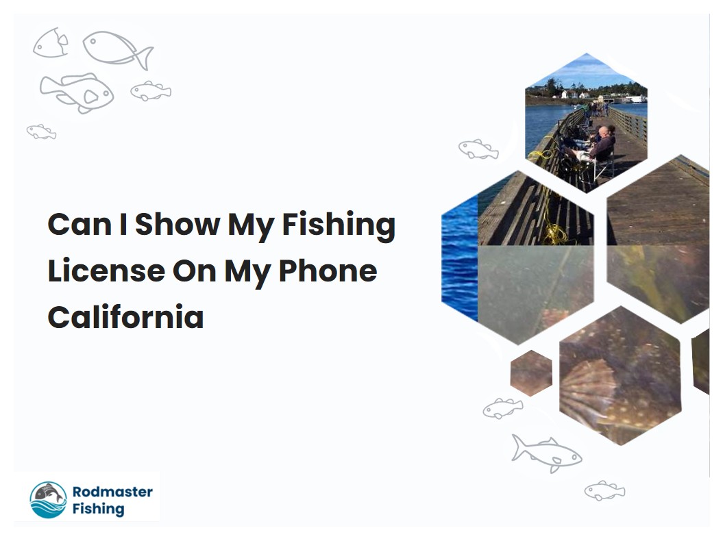 Can I Show My Fishing License On My Phone California