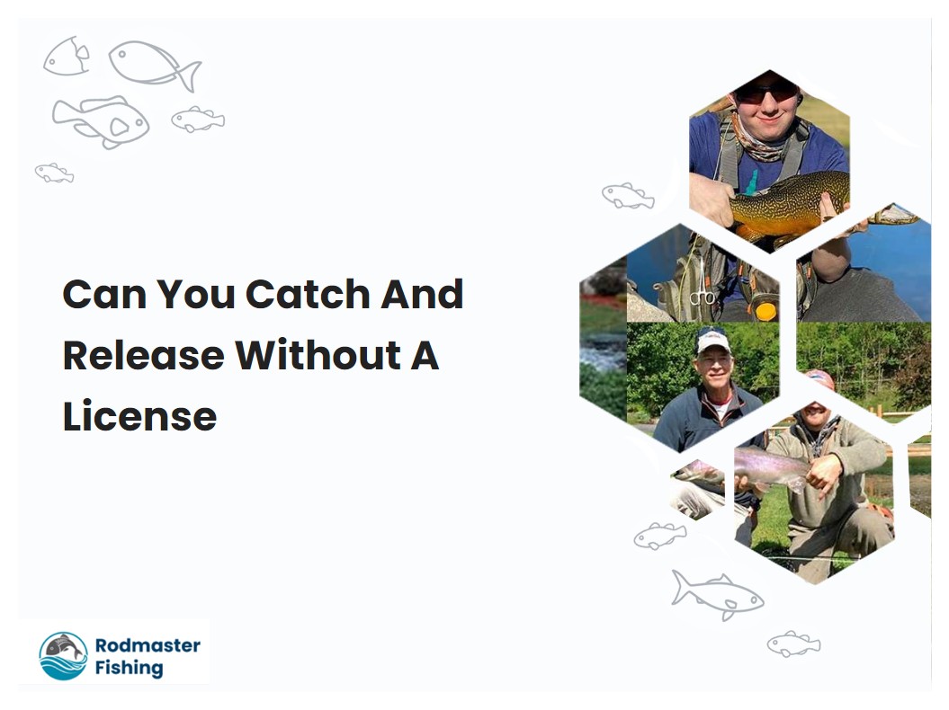 Can You Catch And Release Without A License