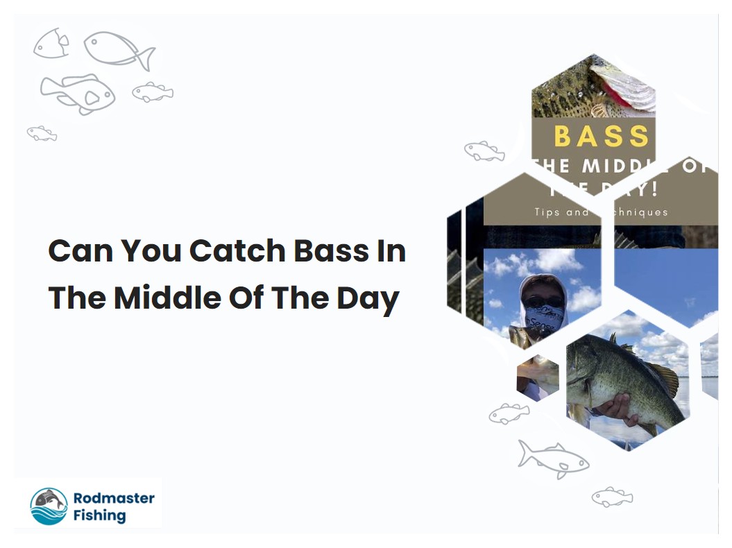 Can You Catch Bass In The Middle Of The Day
