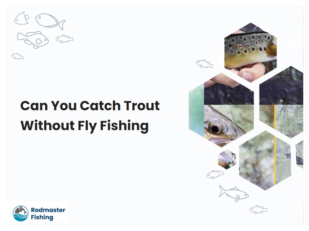 Can You Catch Trout Without Fly Fishing