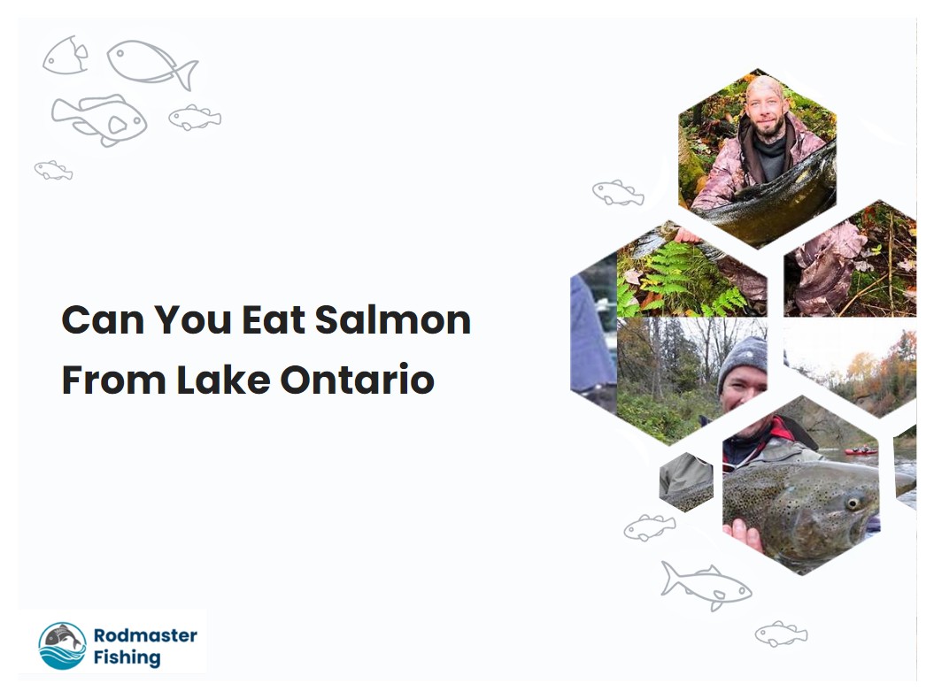 Can You Eat Salmon From Lake Ontario