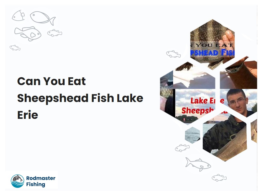 Can You Eat Sheepshead Fish Lake Erie