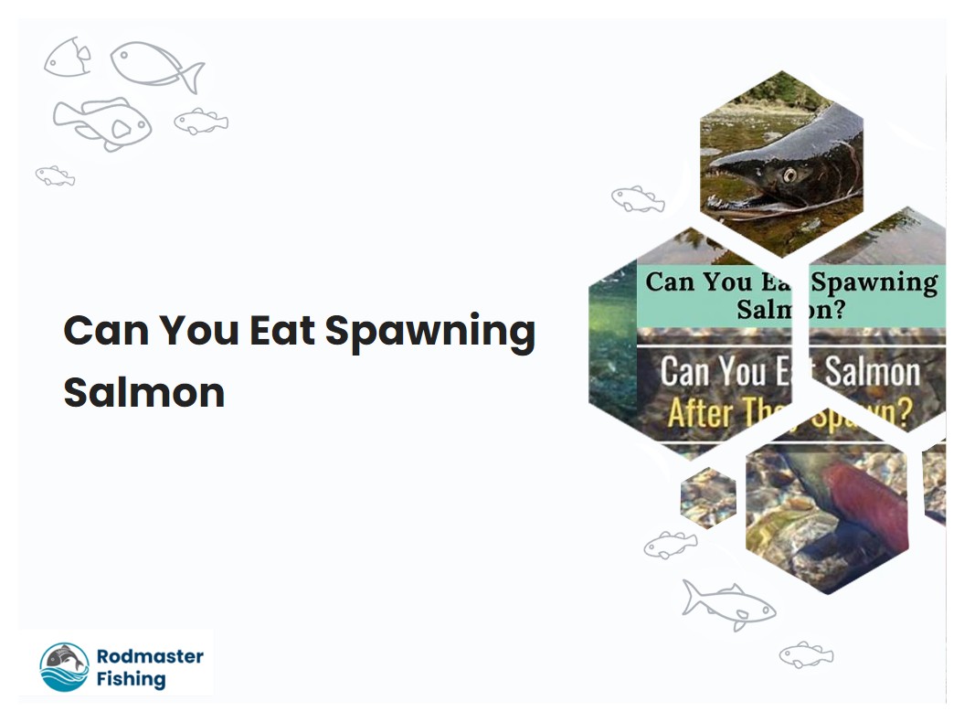 Can You Eat Spawning Salmon