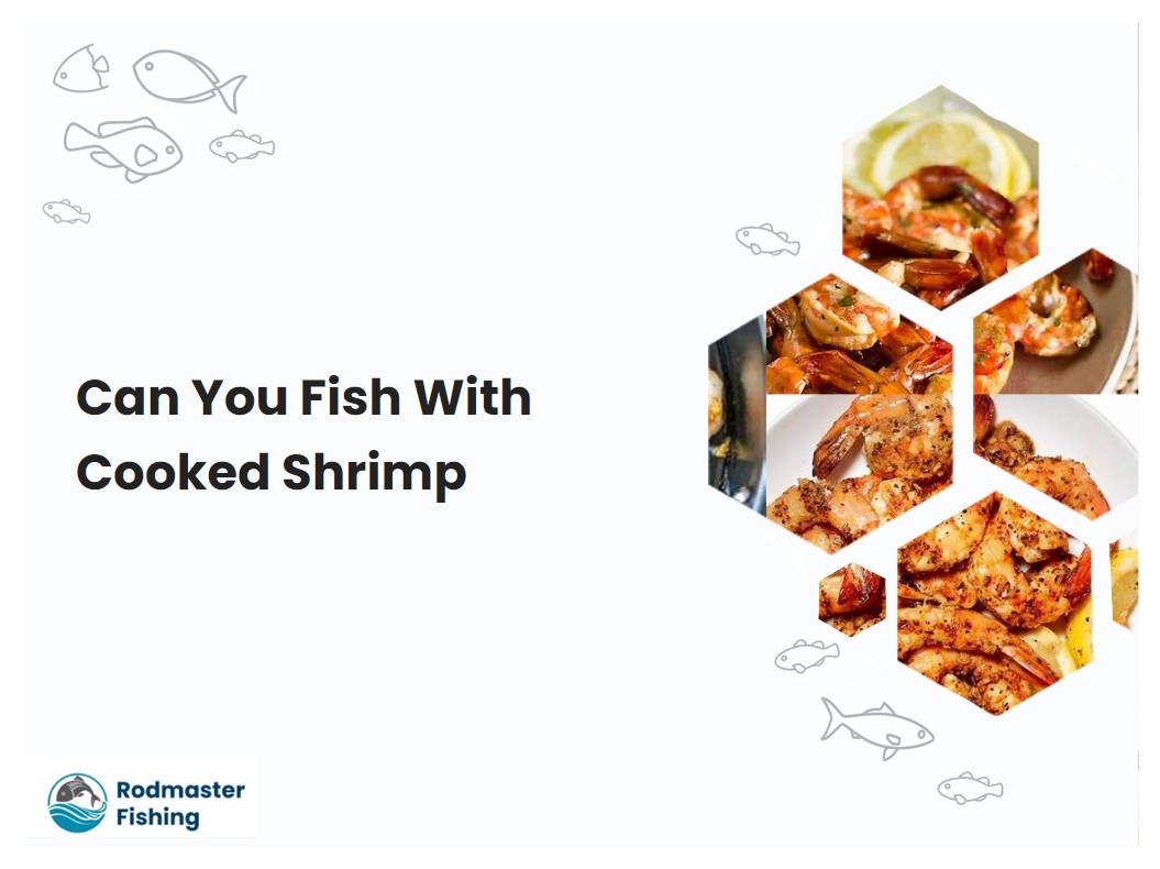 Can You Fish With Cooked Shrimp