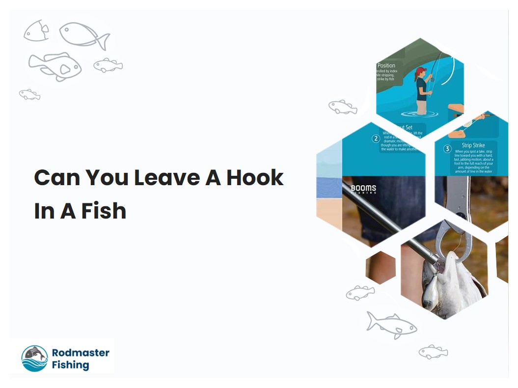 Can You Leave A Hook In A Fish