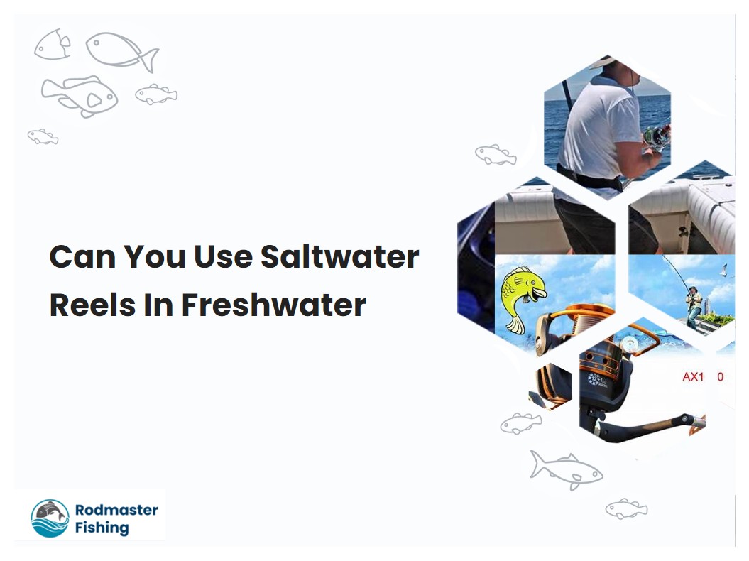 Can You Use Saltwater Reels In Freshwater