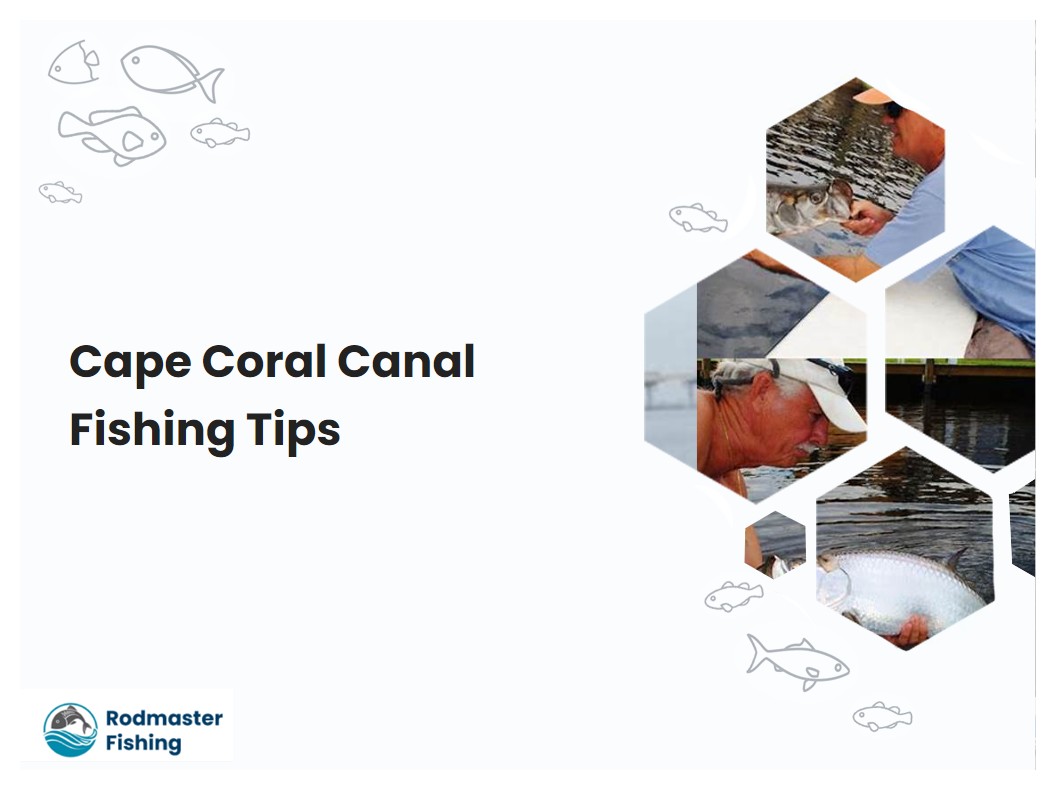 Cape Coral Canal Fishing Tips