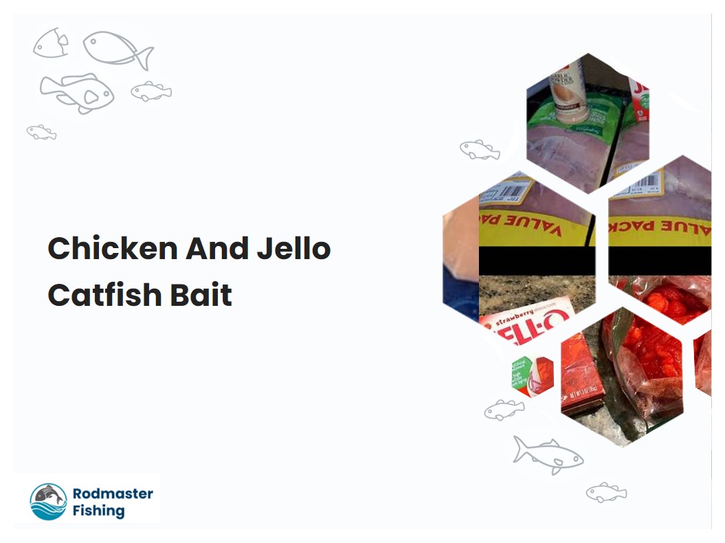 Chicken And Jello Catfish Bait