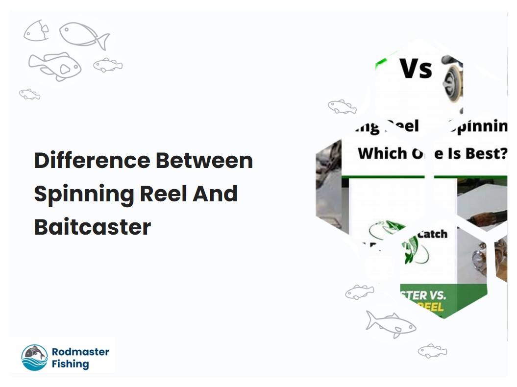 Difference Between Spinning Reel And Baitcaster