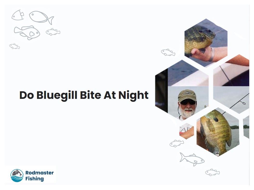Do Bluegill Bite At Night