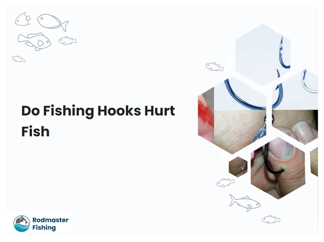 Do Fishing Hooks Hurt Fish