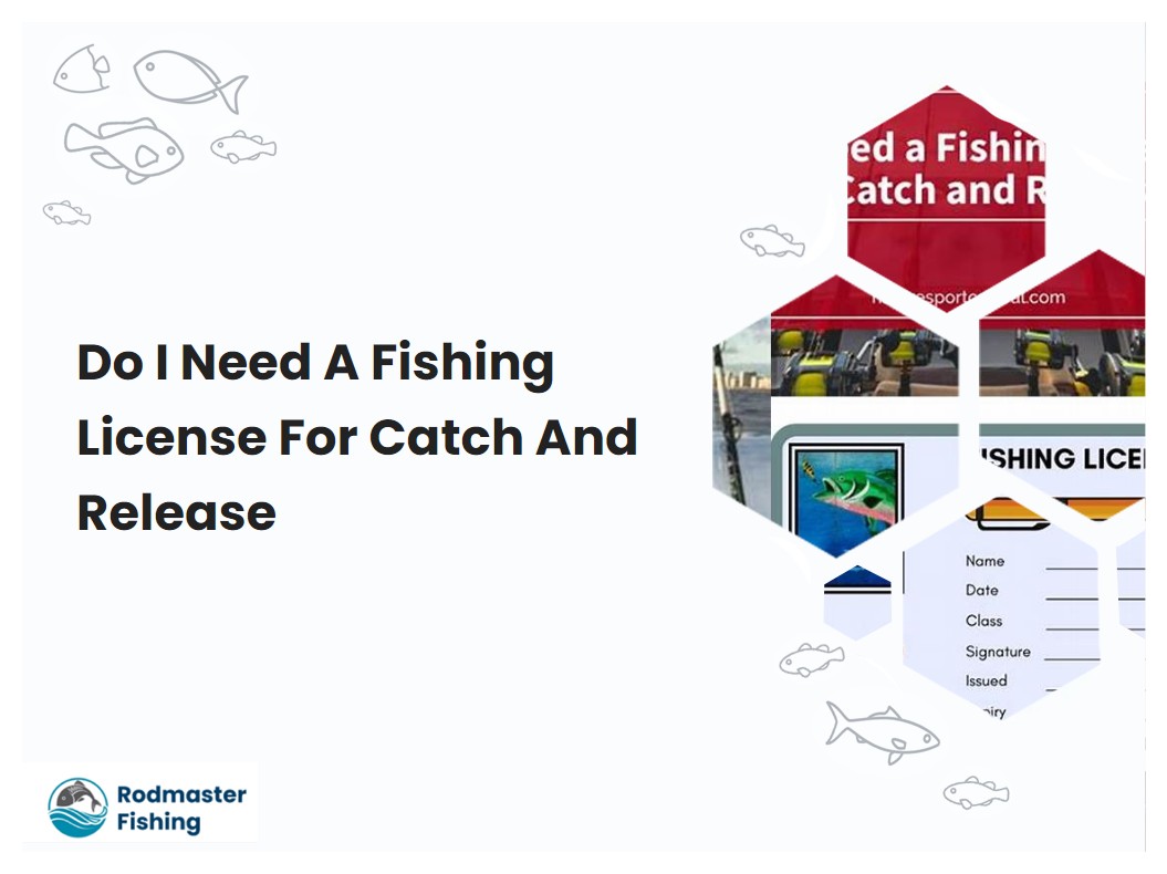 Do I Need A Fishing License For Catch And Release