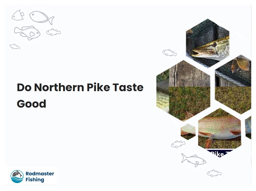 Do Northern Pike Taste Good