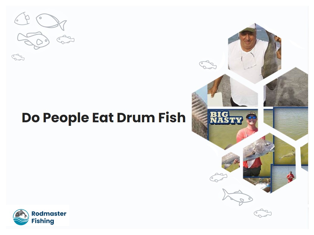 Do People Eat Drum Fish