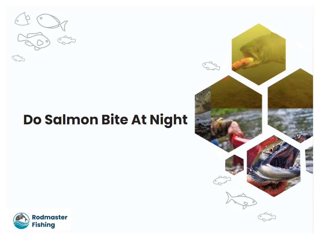 Do Salmon Bite At Night