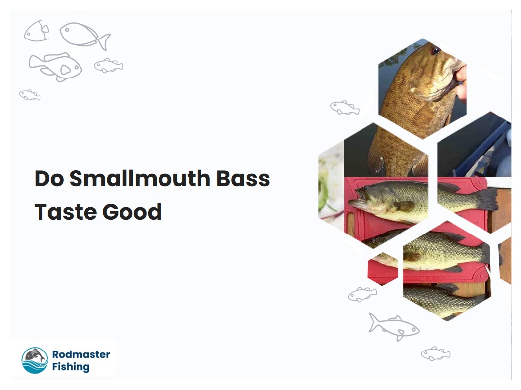 Do Smallmouth Bass Taste Good