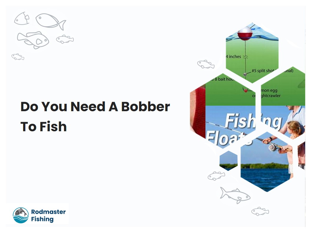 Do You Need A Bobber To Fish
