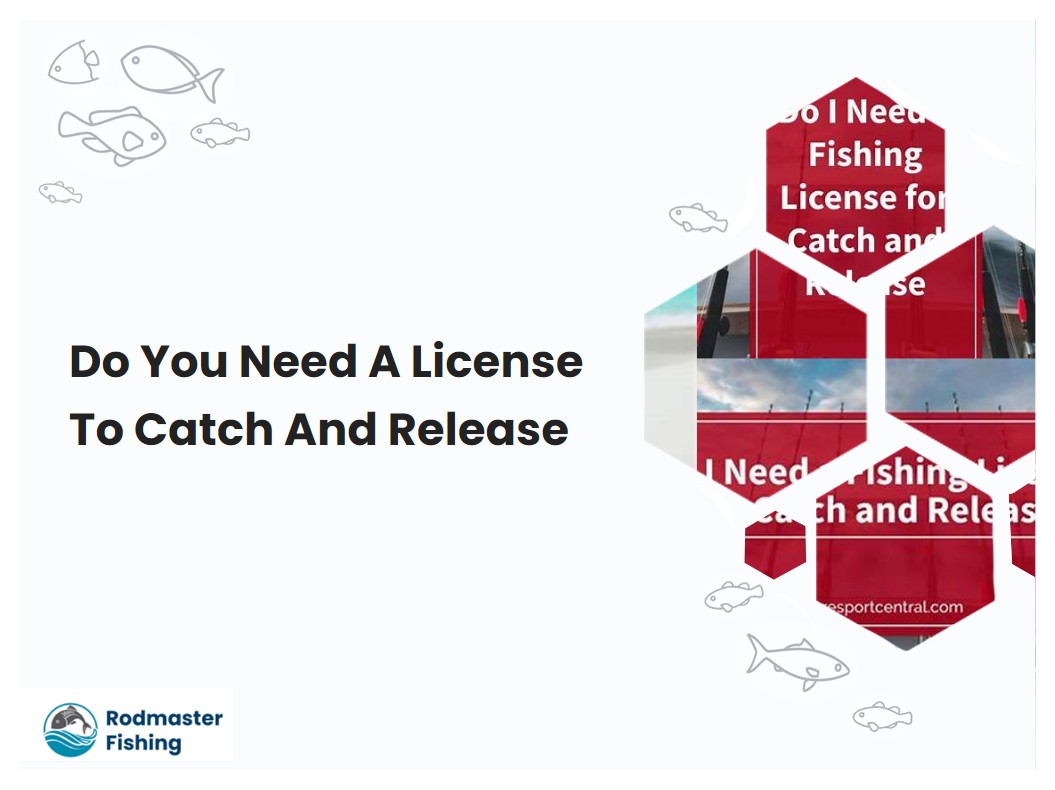 Do You Need A License To Catch And Release