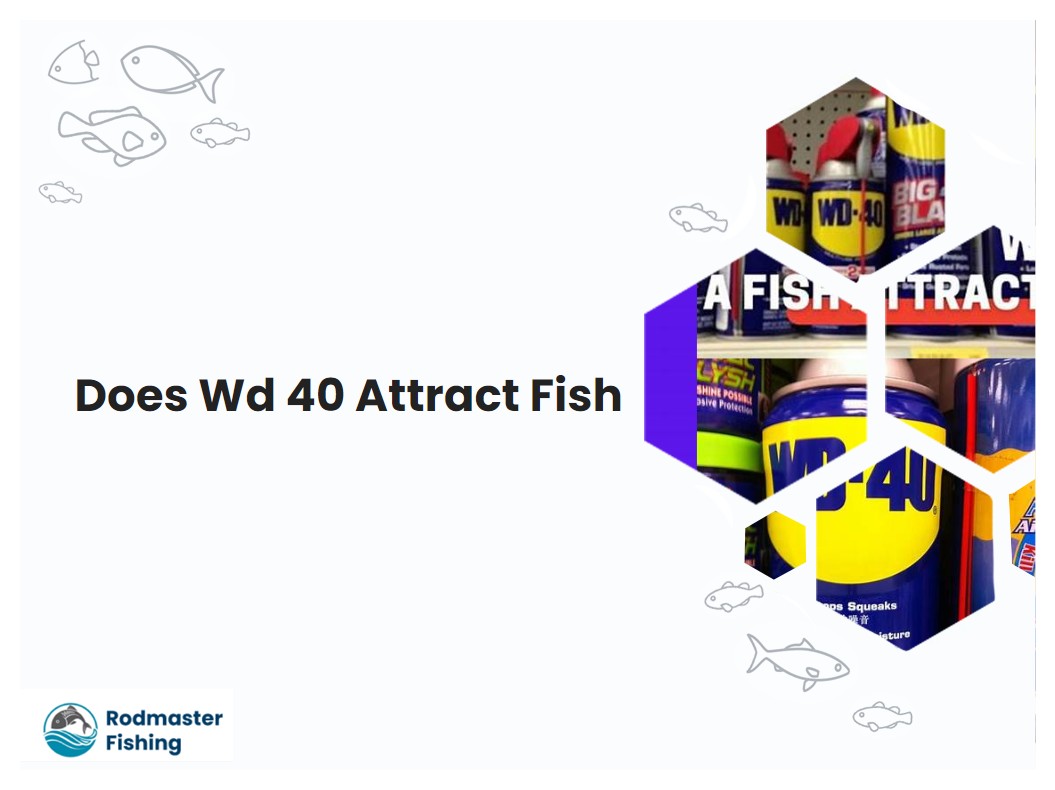 Does Wd 40 Attract Fish