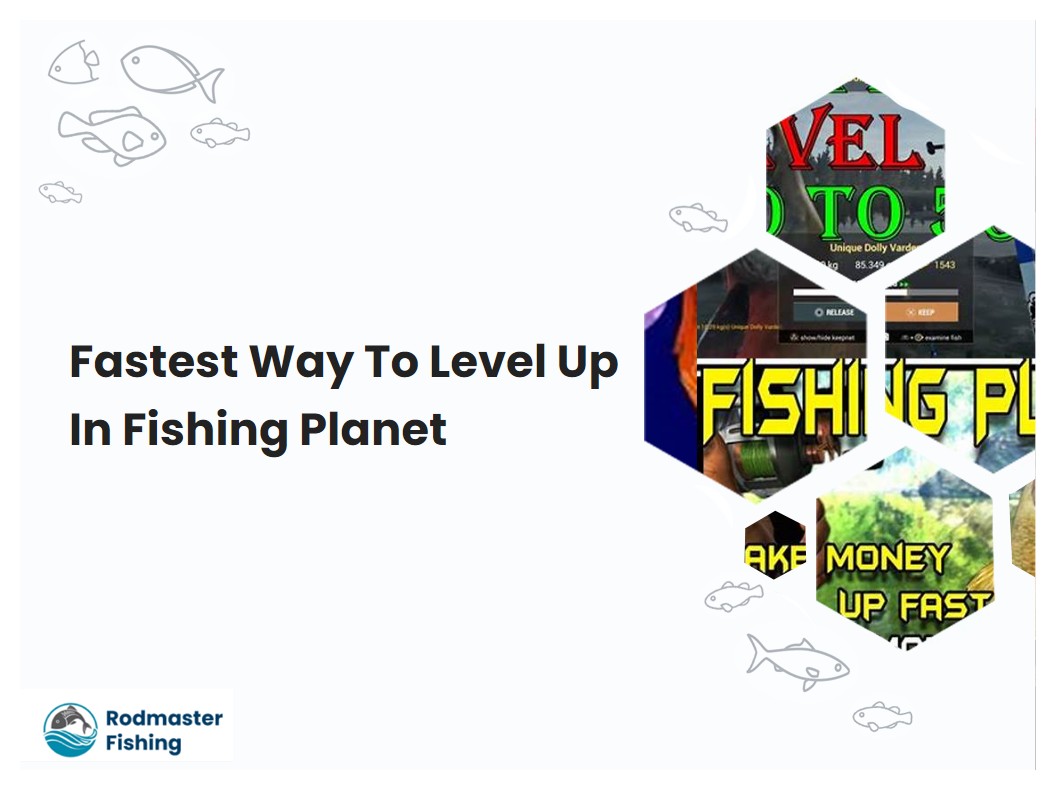 Fastest Way To Level Up In Fishing Planet