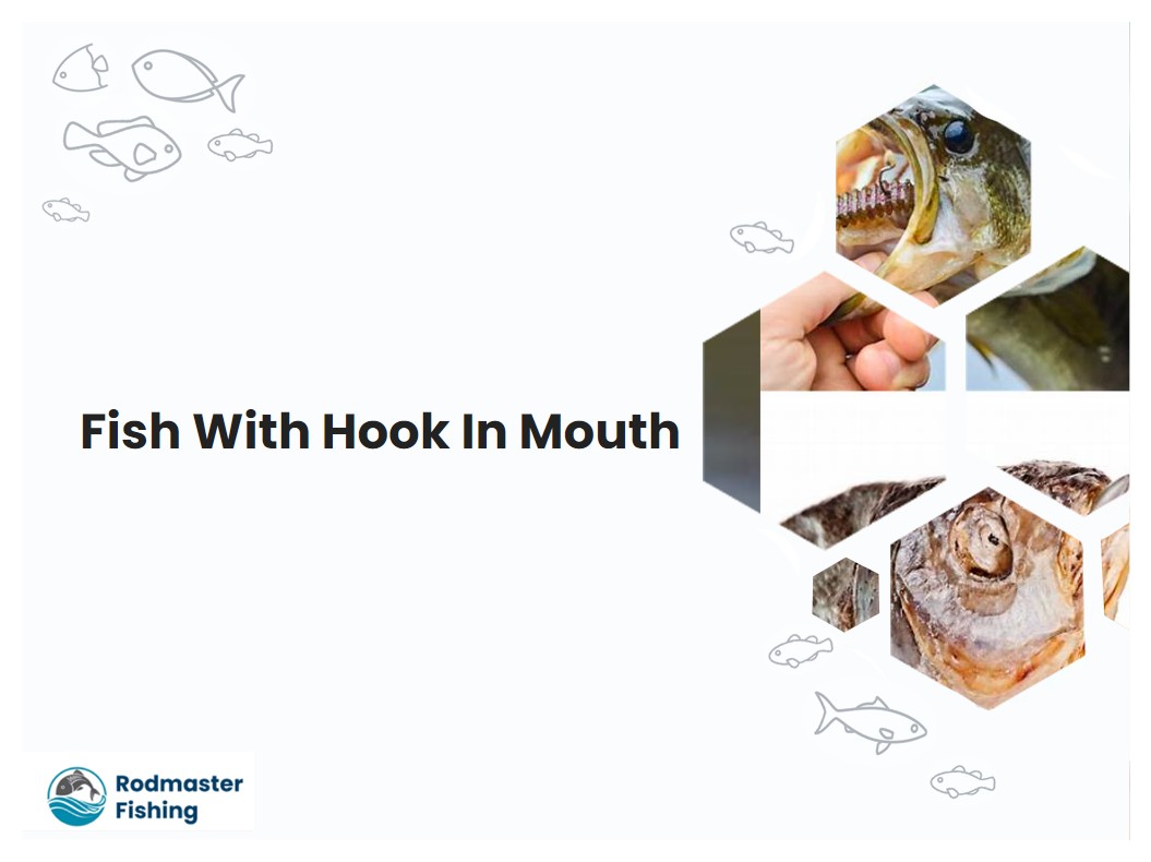 Fish With Hook In Mouth