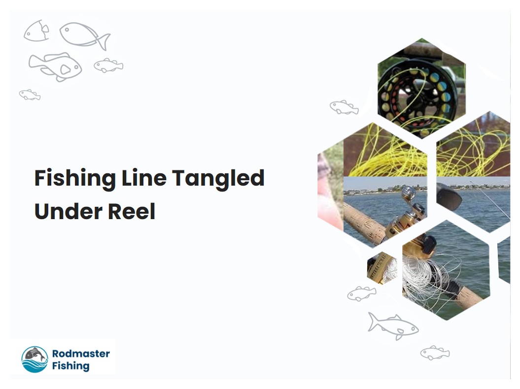 Fishing Line Tangled Under Reel