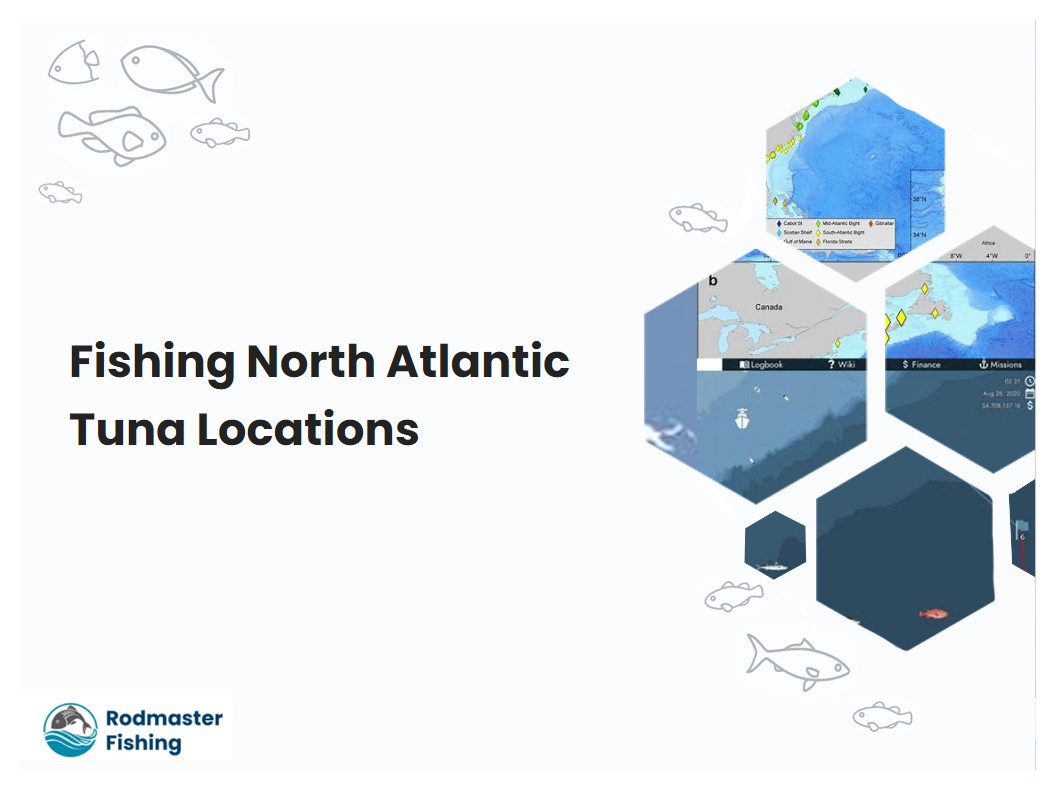 Fishing North Atlantic Tuna Locations