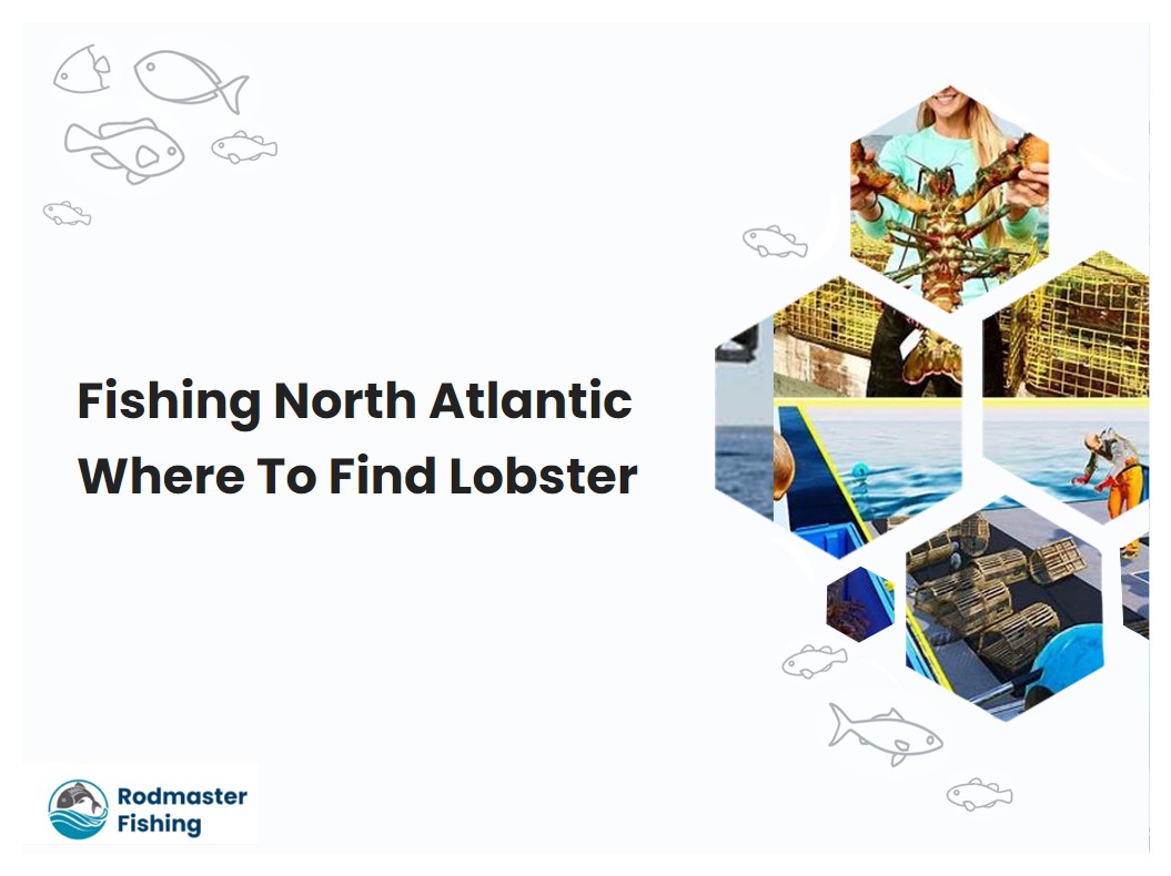 Fishing North Atlantic Where To Find Lobster