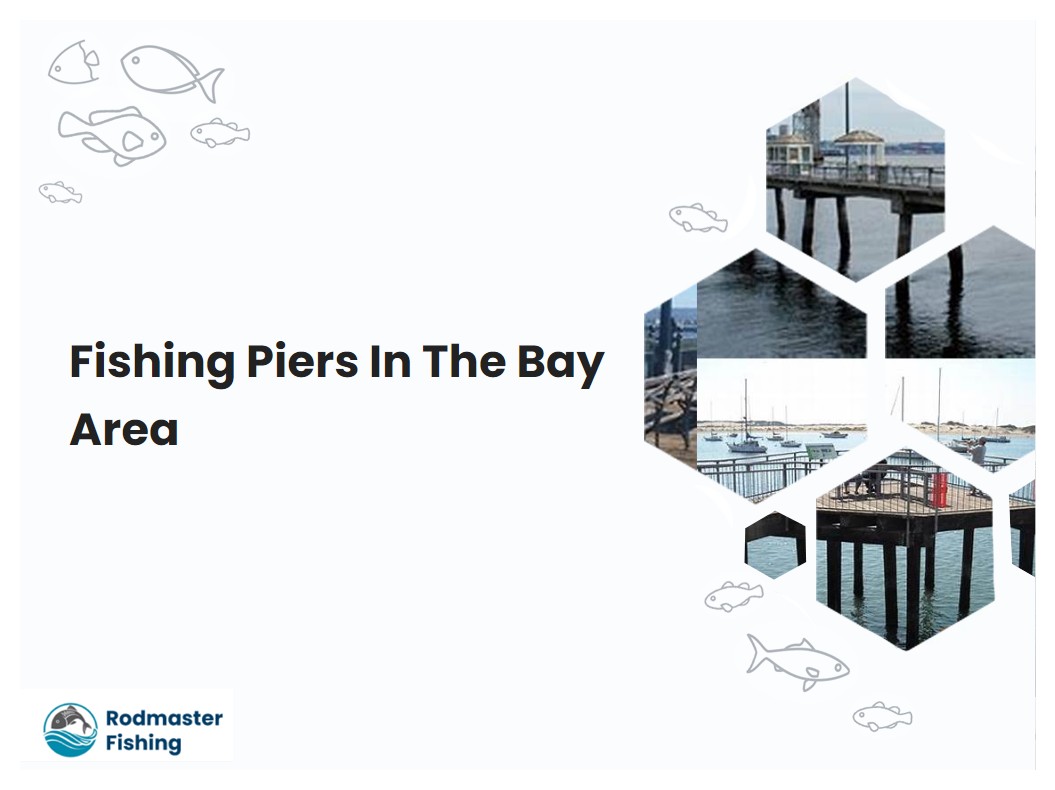 Fishing Piers In The Bay Area