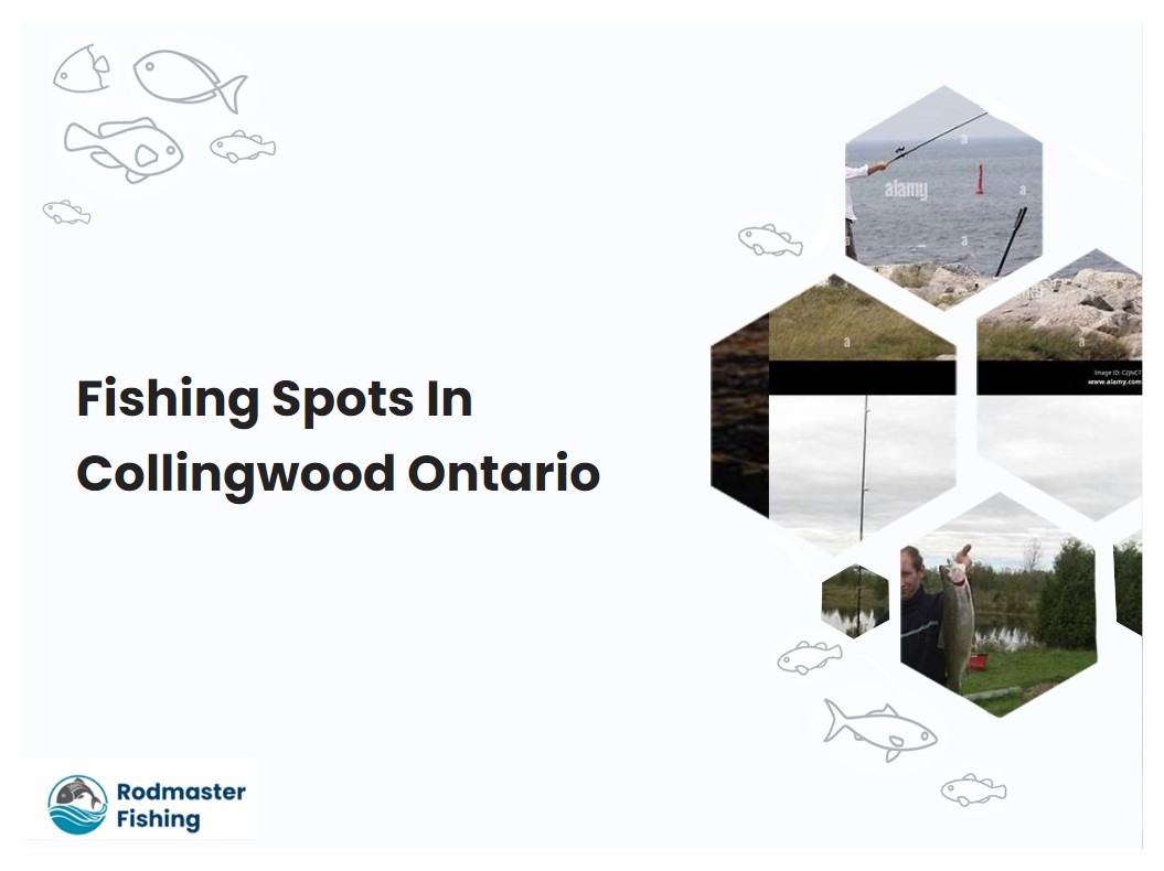 Fishing Spots In Collingwood Ontario