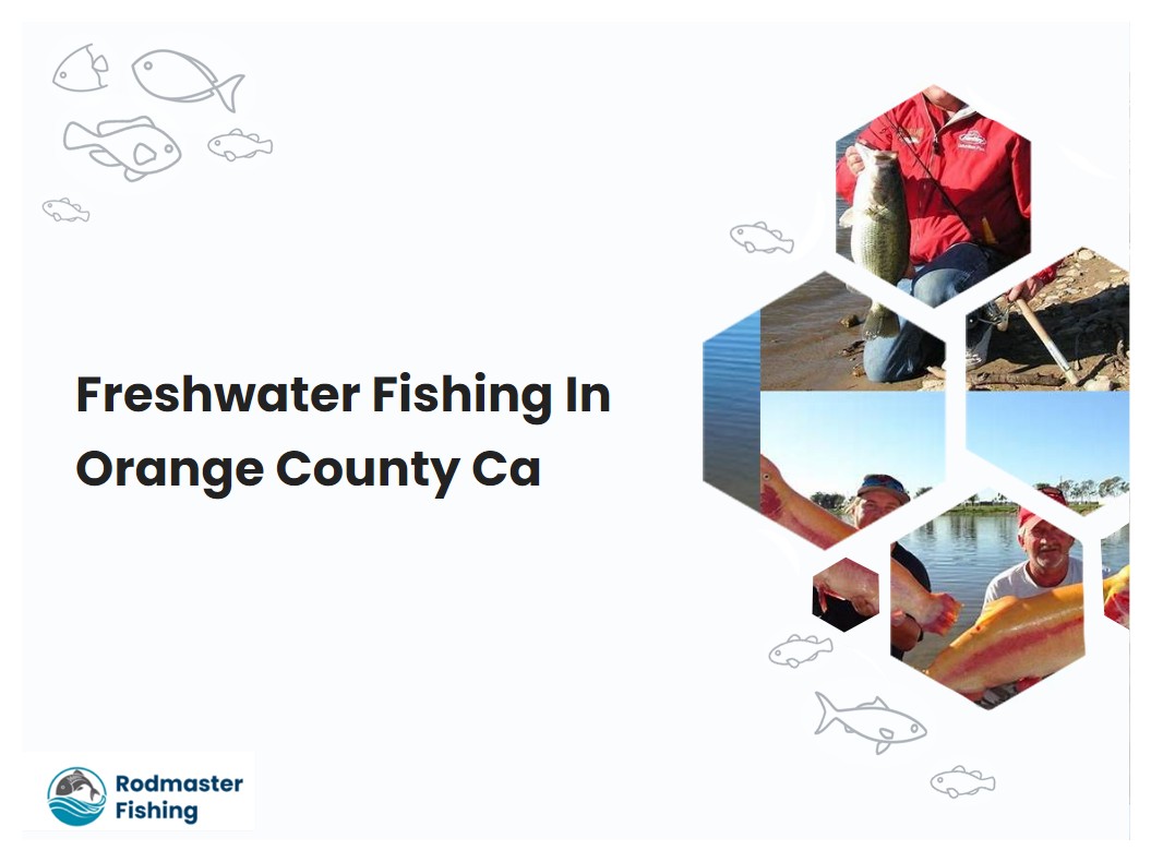 Freshwater Fishing In Orange County Ca