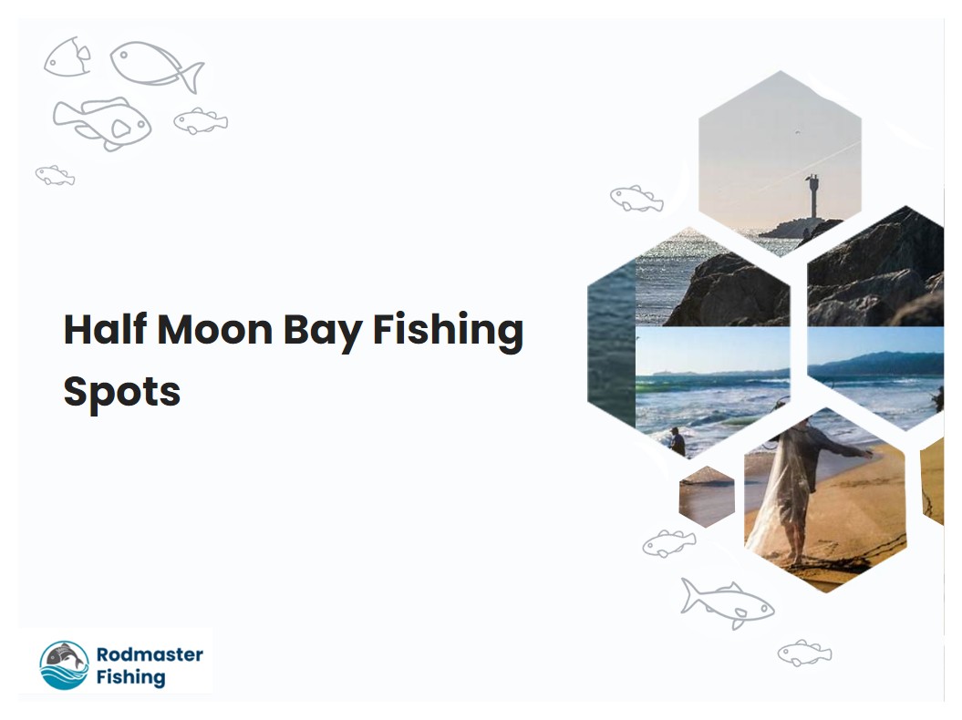 Half Moon Bay Fishing Spots