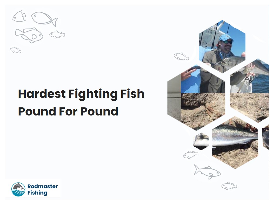 Hardest Fighting Fish Pound For Pound