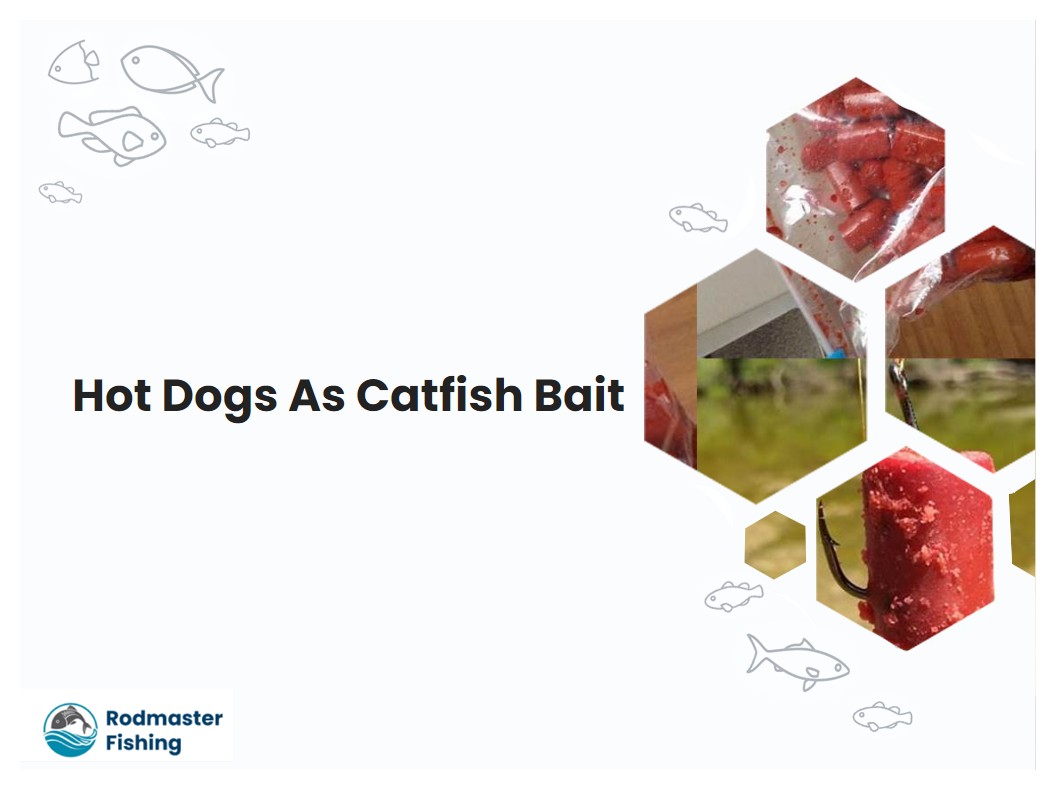 Hot Dogs As Catfish Bait