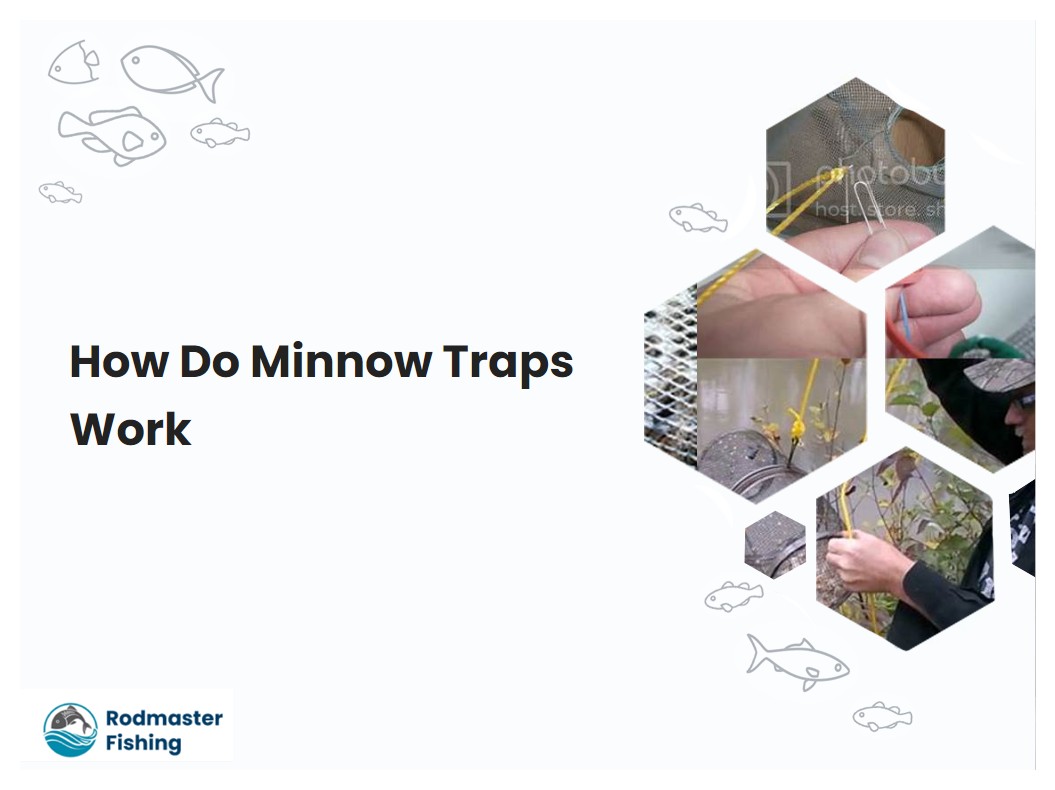 How Do Minnow Traps Work