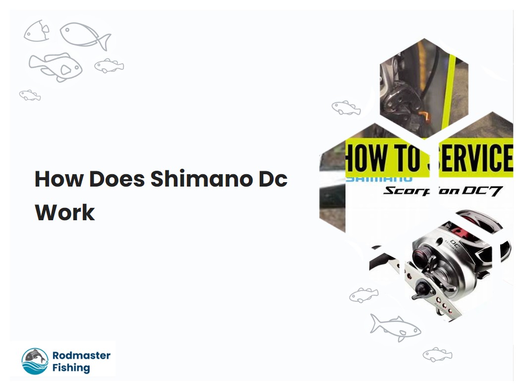 How Does Shimano Dc Work