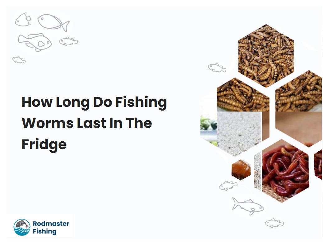 How Long Do Fishing Worms Last In The Fridge
