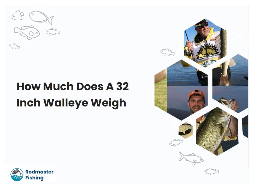 How Much Does A 32 Inch Walleye Weigh